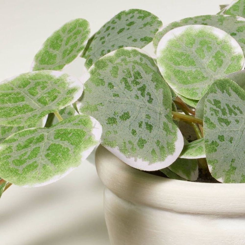 Hearth & Hand 7.5" Mini Faux Variegated String of Hearts Plant NWT ✨Sold Out✨ - Picture 3 of 3